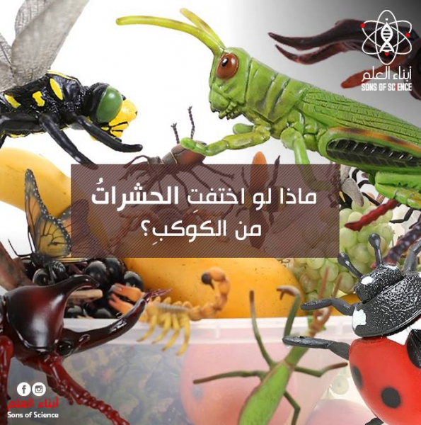 ماذا لو اختفت الحشراتُ من الكوكبِ؟