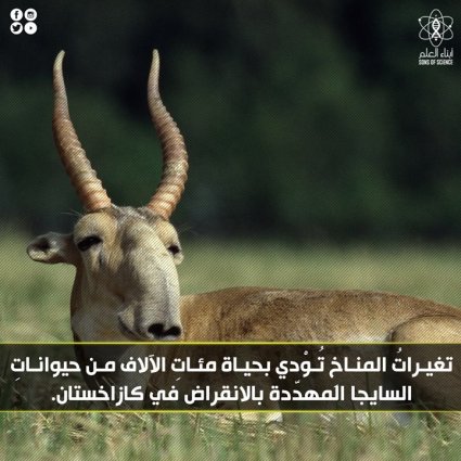 تغيراتُ المناخِ تُوْدي بحياة الحيوانات