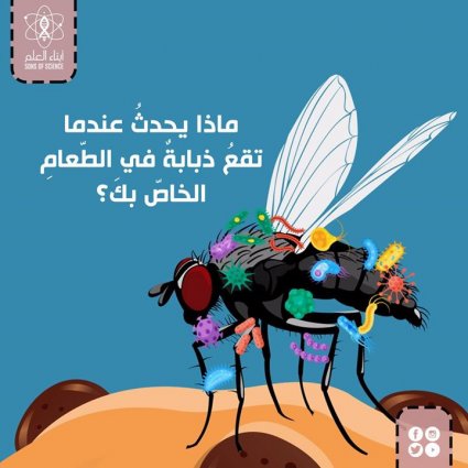 ماذا يحدثُ عندما تقعُ ذبابةٌ في الطعام الخاص بك؟