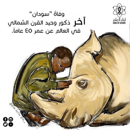 الإنقراض الكبير السادس