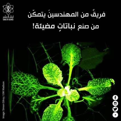 صنع نباتات متوهجة!
