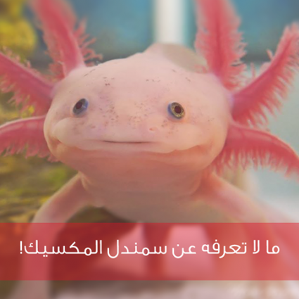 ماذا تعلم عن عفريت الماء؟