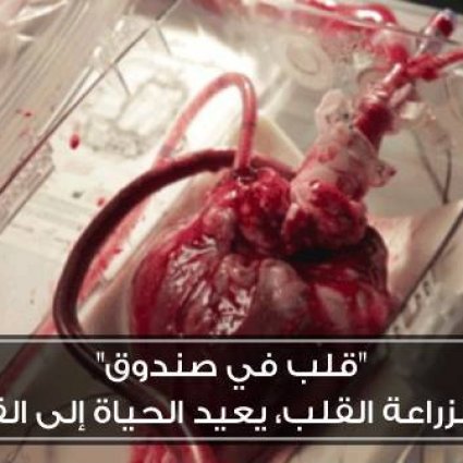 إعادة الحياة للقلوب الميتة