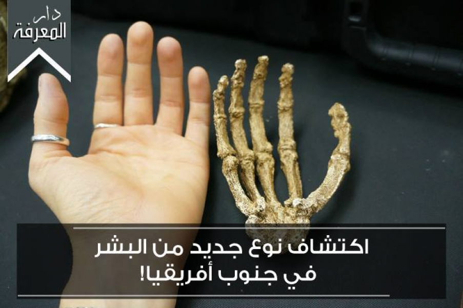 اكتشاف نوع جديد من البشر في جنوب أفريقيا!