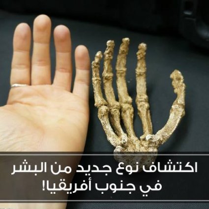 اكتشاف نوع جديد من البشر في جنوب أفريقيا!