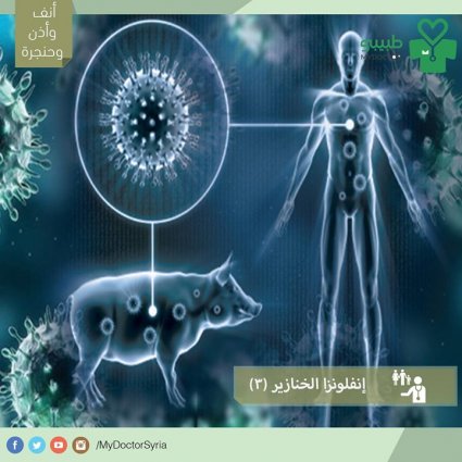 أهمية لقاح إنفلونزا الخنازير 