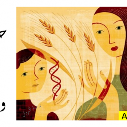 حساسية القمح والسكري