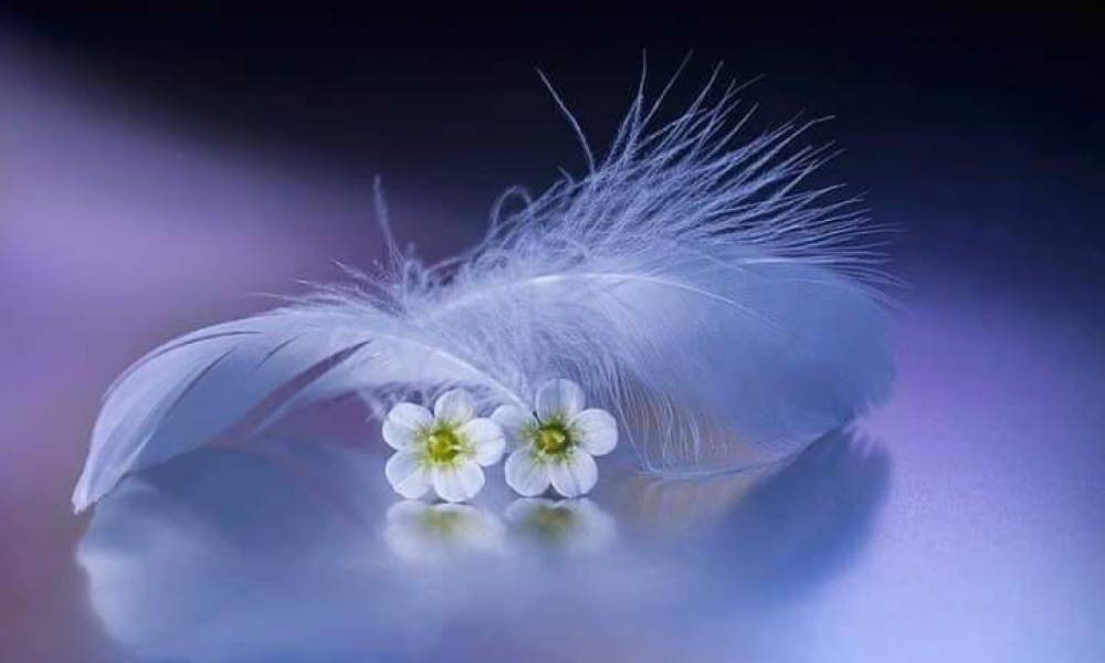 والكاظمين الغيظ  والعافين عن الناس