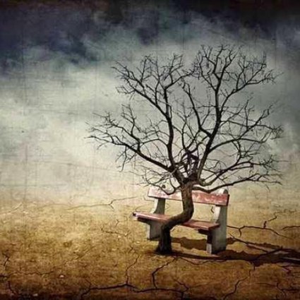 التسامح مع الماضي