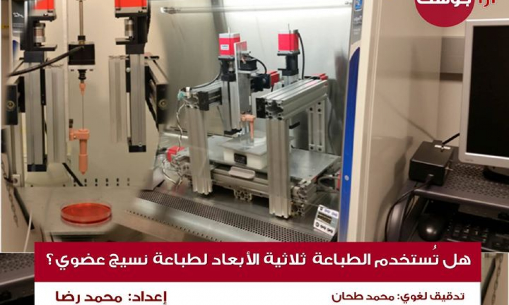 هل يمكن استخدام الطباعة ثلاثية الأبعاد لطباعة نسيجٍ عضويٍّ؟