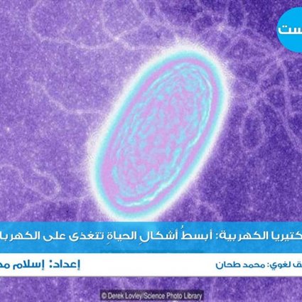 ما هي البكتيريا الكهربية؟