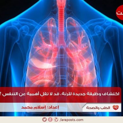 اكتشاف وظيفة جديدة للرئة لا تقل أهمية عن التنفس!