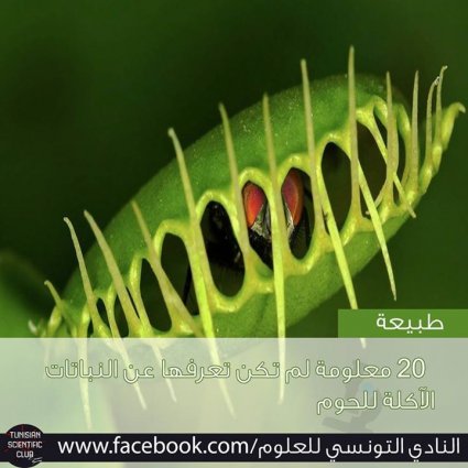 ماذا تعرف عن النباتات الآكلة للحوم!