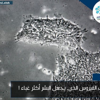 ما هو الفيروس الذي يجعل البشر أكثر غباء؟