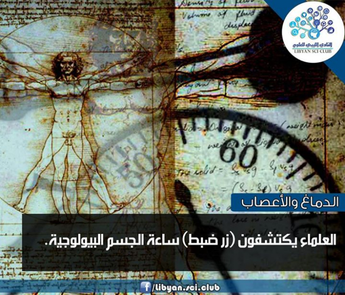 اكتشاف زر ضبط ساعة الجسم البيولوجية!