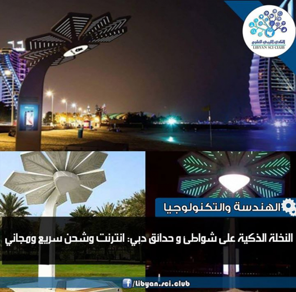 النخلة الذكية على شواطئ دبي!