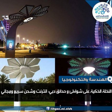 النخلة الذكية على شواطئ دبي!