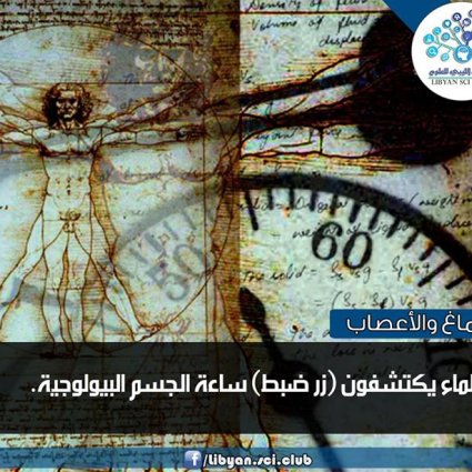 العلماء يكتشفون زر ضبط ساعة الجسم البيولوجية