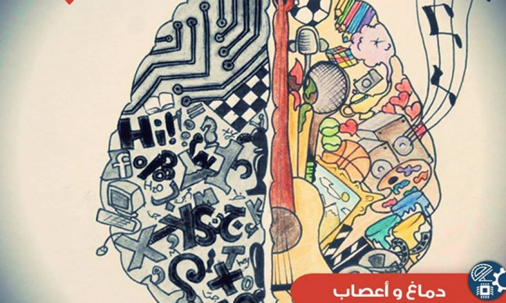 ما الفرق بين الدماغ اليساري و اليميني؟