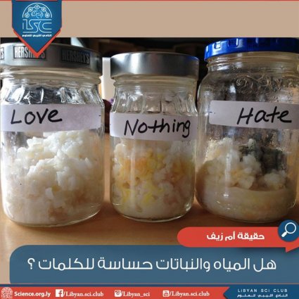 هل المياه والنباتات حساسة للكلمات؟