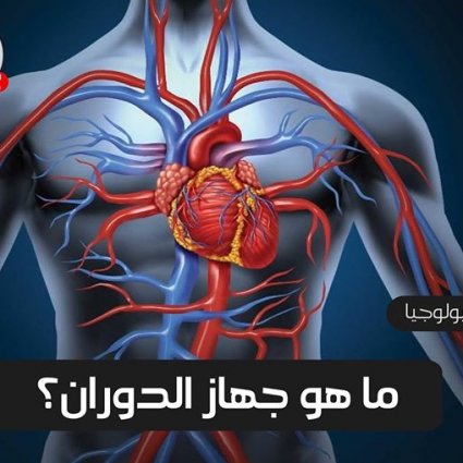 ما هو جهاز الدوران؟