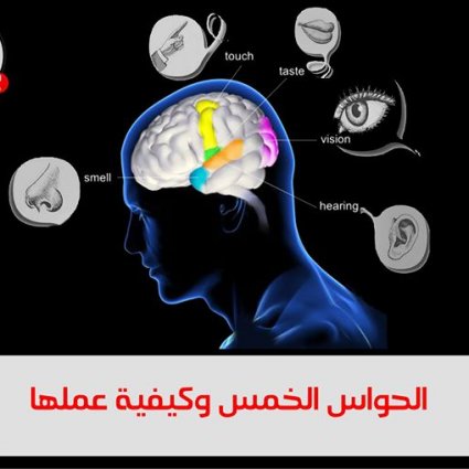 الحواس الخمس وكيفية عملها