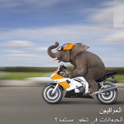 هل الحيوانات في تطور مستمر؟