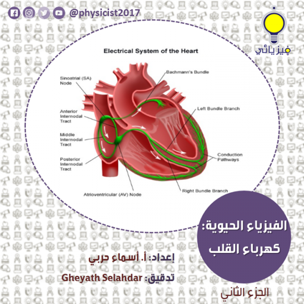 كهرباء القلب