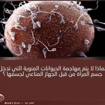 لماذا لا يتم مهاجمة الحيوانات المنوية من قبل الجهاز المناعي؟