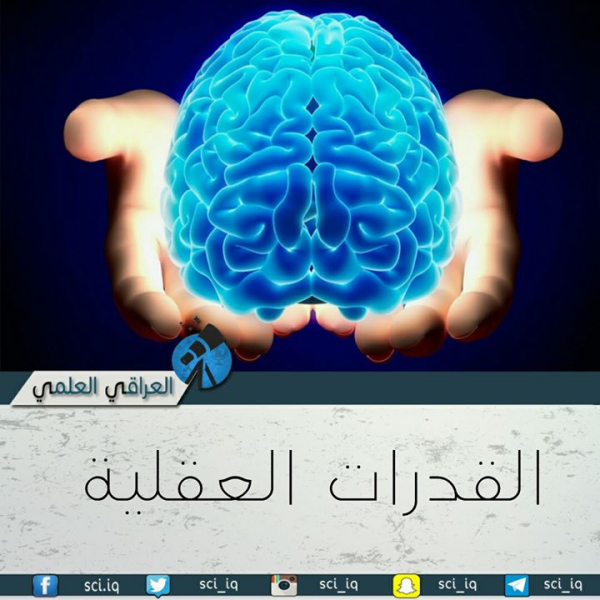 ما هو مدى القدرات العقلية؟