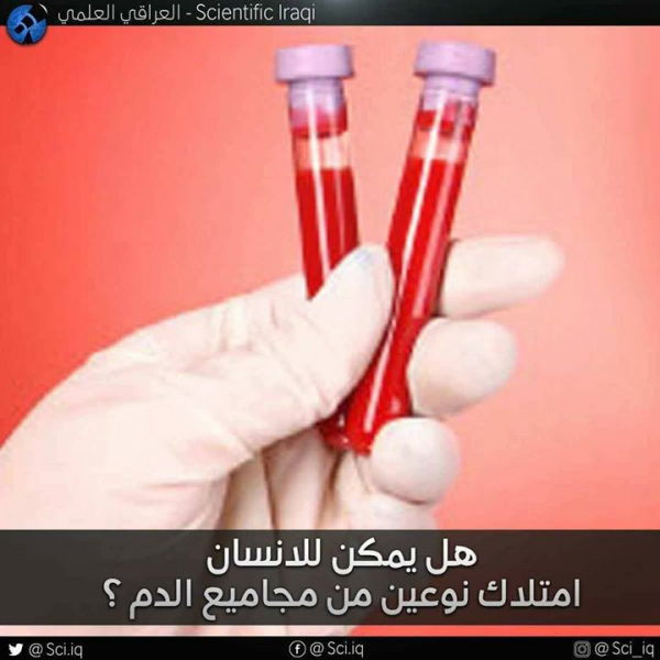 هل يمكن للإنسان امتلاك نوعين من مجاميع الدم؟
