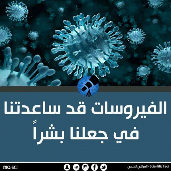 الفيروسات قد ساعدتنا في جعلنا بشراً!