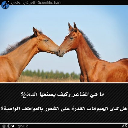 ما هي المشاعر وكيف يصنعها الدماغ؟