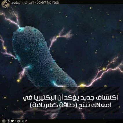 اكتشافٌ جديد يؤكد أنَّ البكتيريا في أمعائك تنتج طاقة كهربائية!