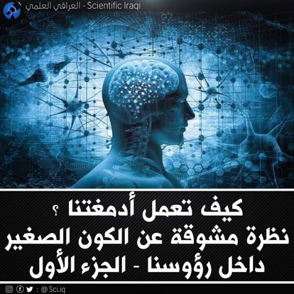 كيفَ يعمل الدماغ ؟
