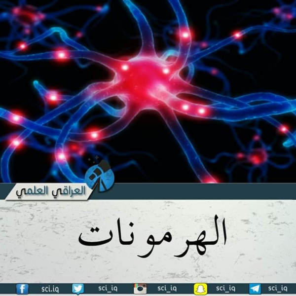 ما هي الهرمونات؟