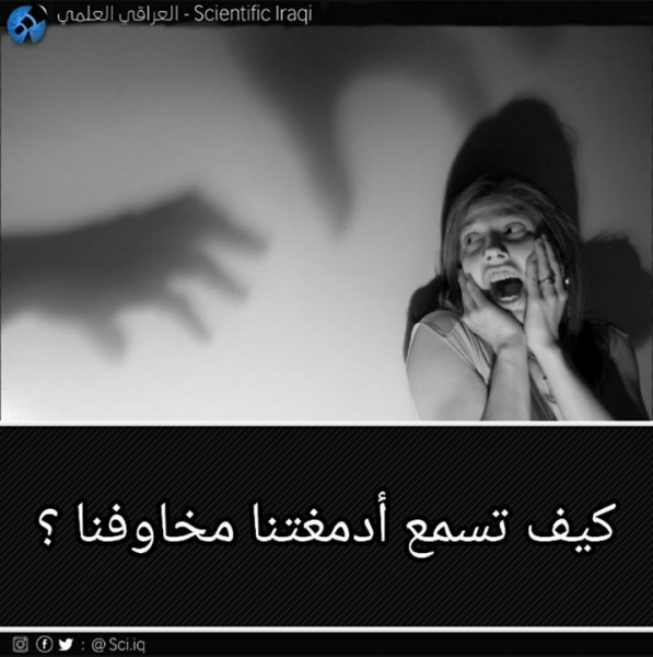 كيف يسمع الدَّماغ و كيف يخاف؟
