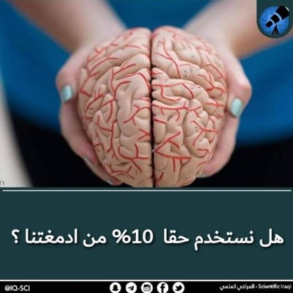 هل نستخدم حقاً ١٠٪ من أدمغتنا؟