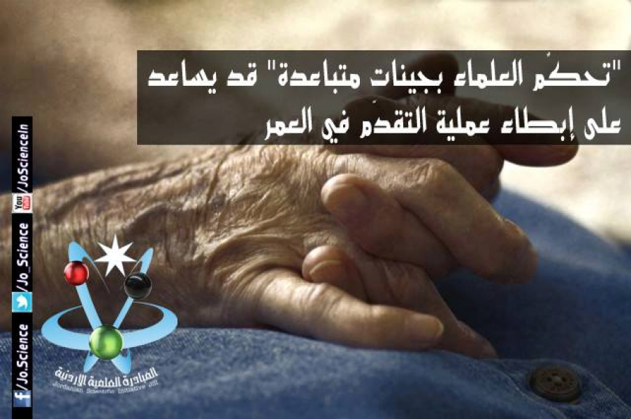 التحكُّم بجينات متباعدة يساعد على إبطاء عملية التقدّم في العمر