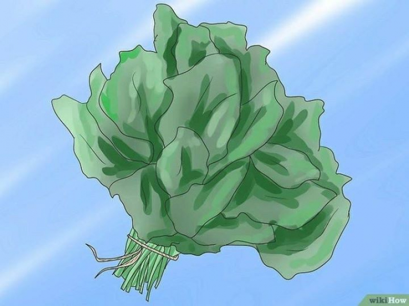 √ تقليل مستويات حمض اللاكتيك من خلال الحمية الغذائية/ 
¶ أولا: تناول كمية أكبر من الماغنيسيوم.
 معدن المغنيسيوم...