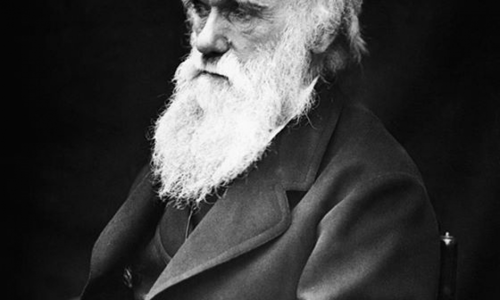 أهم الحقائق عن حياة تشارلز داروين