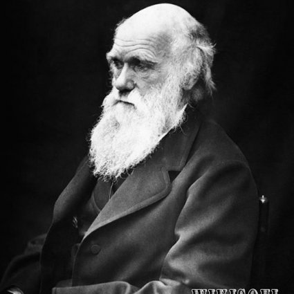 أهم الحقائق عن حياة تشارلز داروين