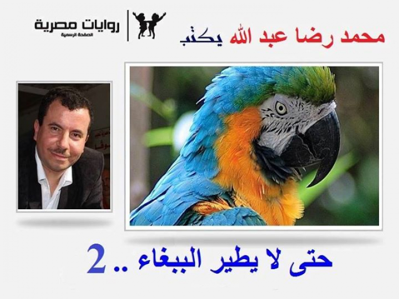 حتى لا يطير الببغاء (2)