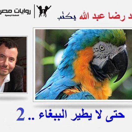 حتى لا يطير الببغاء (2)