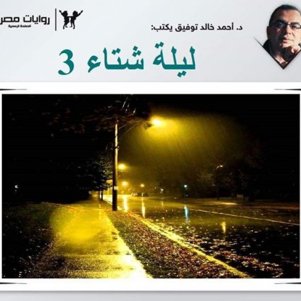 ليلة شتاء (3)