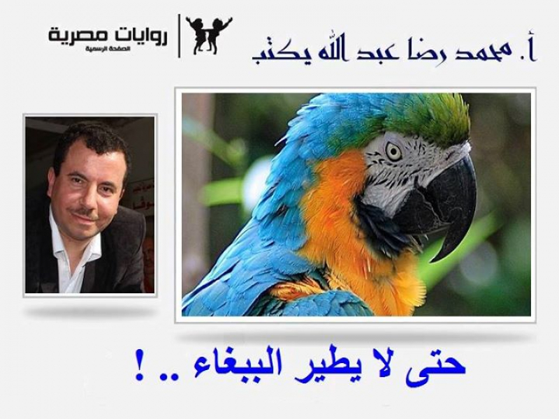حتى لايطير الببغاء!