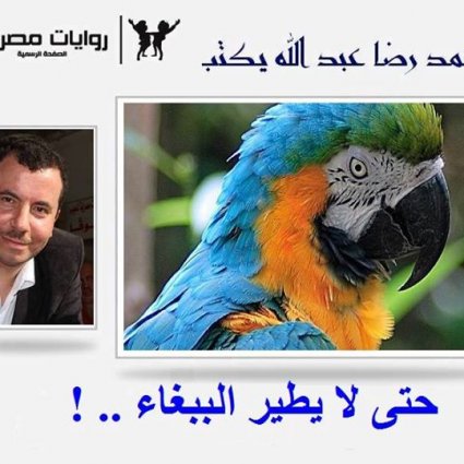 حتى لايطير الببغاء!