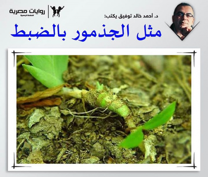 مثل الجذمور بالضبط
