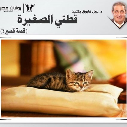 قطتي الصغيرة