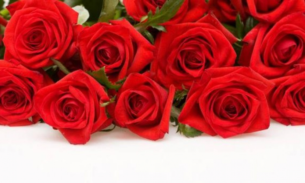 ما هي اللياقة الداخلية؟